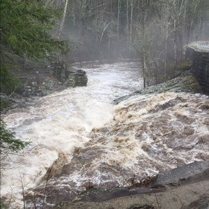 Meet your Posher, Aleta